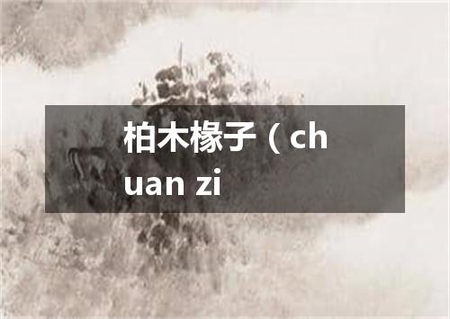 柏木椽子（chuan zi