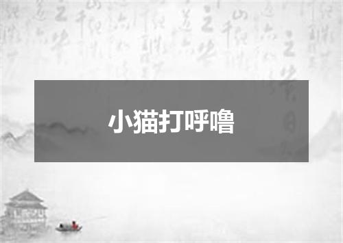 小猫打呼噜
