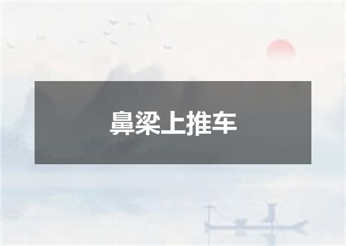 鼻梁上推车