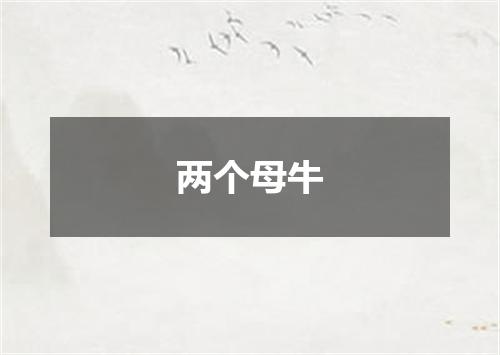 两个母牛