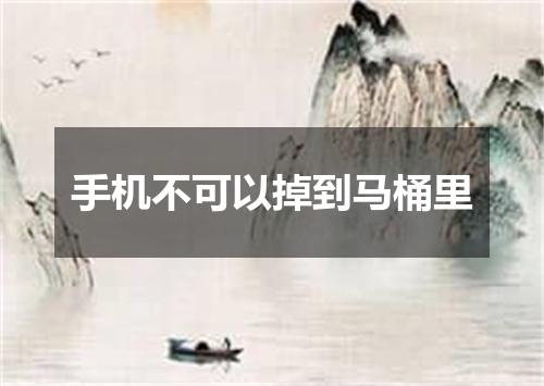 手机不可以掉到马桶里