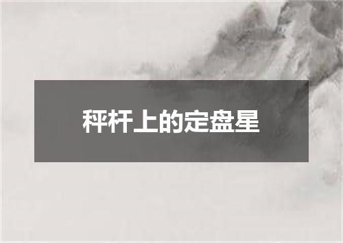 秤杆上的定盘星