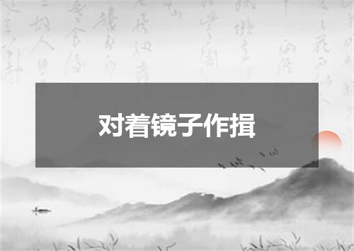 对着镜子作揖