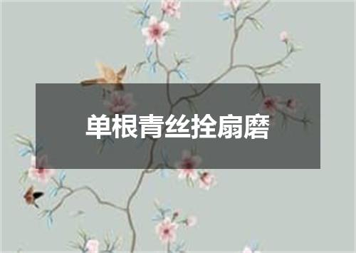 单根青丝拴扇磨