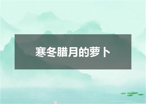 寒冬腊月的萝卜