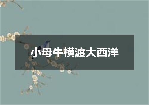 小母牛横渡大西洋