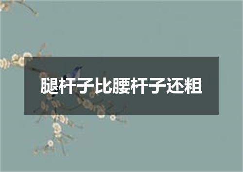 腿杆子比腰杆子还粗