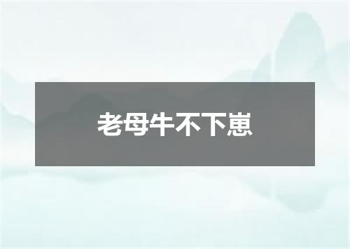 老母牛不下崽
