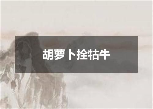 胡萝卜拴牯牛