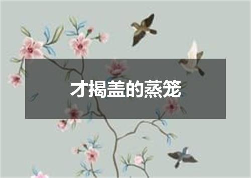 才揭盖的蒸笼