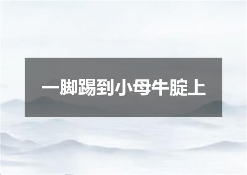 一脚踢到小母牛腚上
