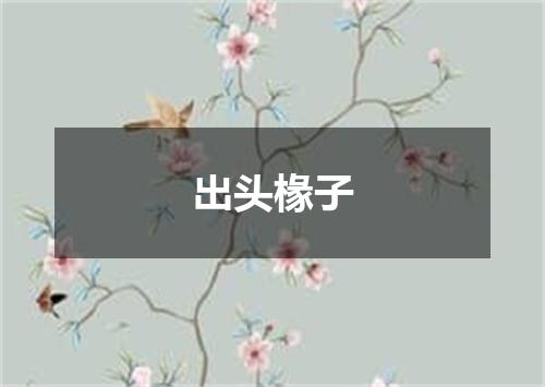 出头椽子