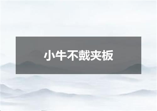 小牛不戴夹板