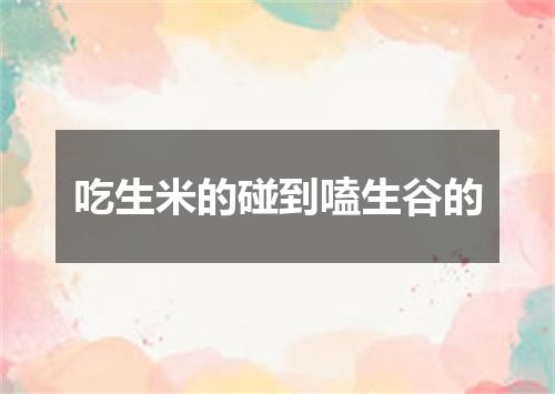 吃生米的碰到嗑生谷的