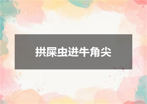 拱屎虫进牛角尖