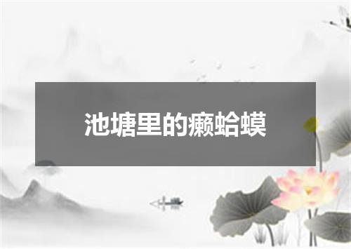 池塘里的癞蛤蟆