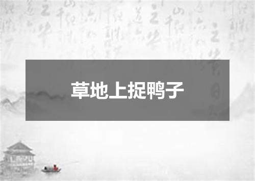 草地上捉鸭子