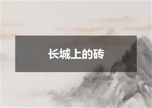 长城上的砖