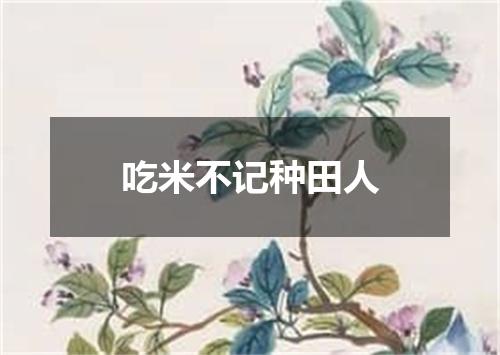 吃米不记种田人
