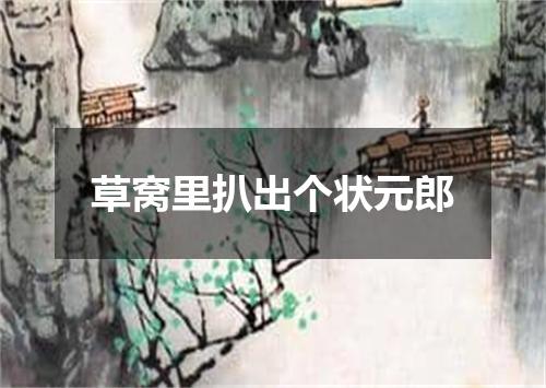 草窝里扒出个状元郎