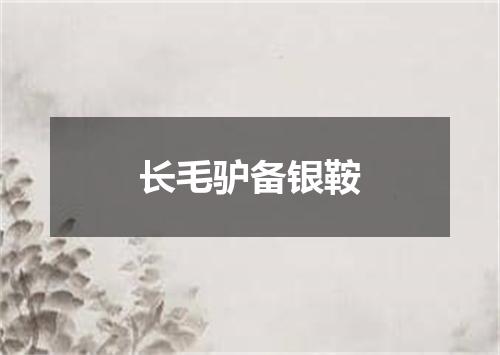 长毛驴备银鞍