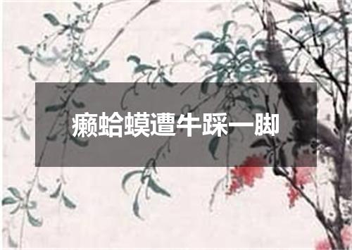 癞蛤蟆遭牛踩一脚