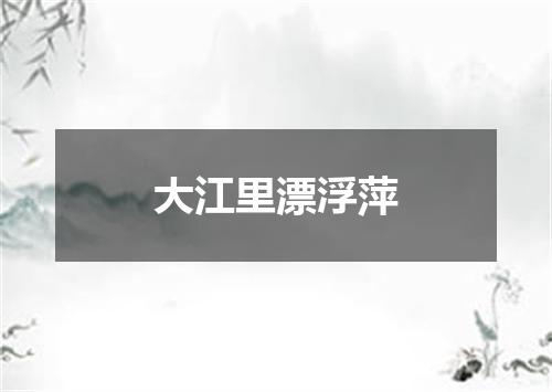 大江里漂浮萍