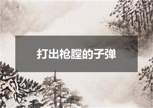 打出枪膛的子弹