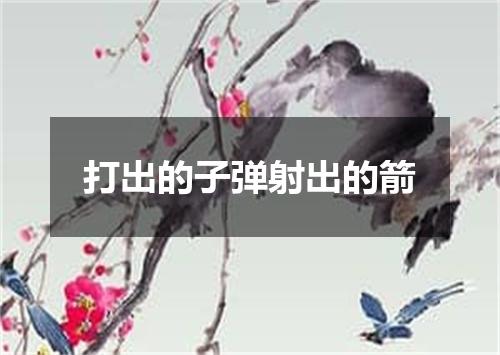 打出的子弹射出的箭