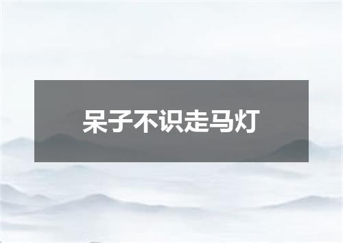 呆子不识走马灯
