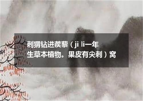 刺猬钻进蒺藜（ji li一年生草本植物。果皮有尖刺）窝