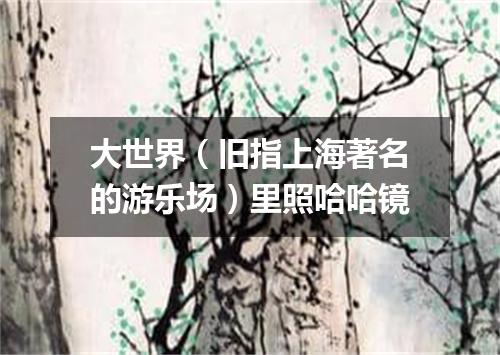 大世界（旧指上海著名的游乐场）里照哈哈镜