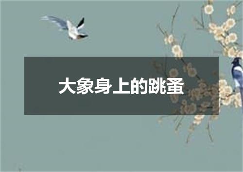 大象身上的跳蚤