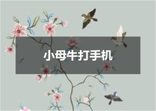 小母牛打手机