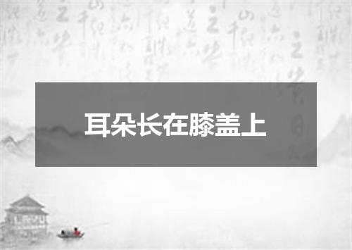 耳朵长在膝盖上