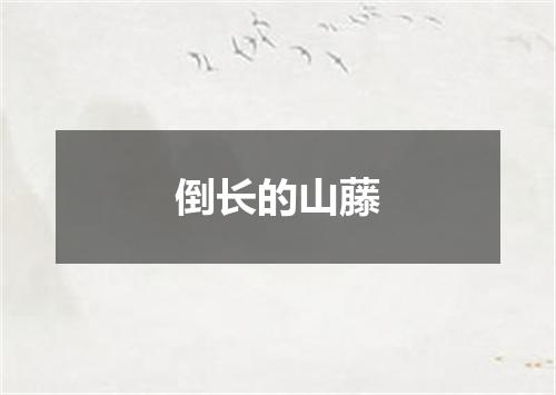 倒长的山藤