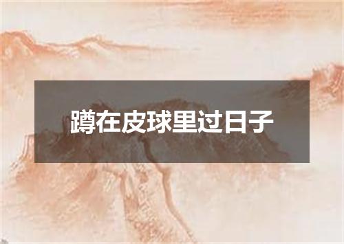 蹲在皮球里过日子