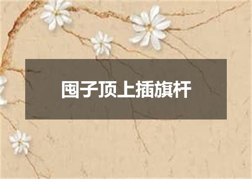 囤子顶上插旗杆