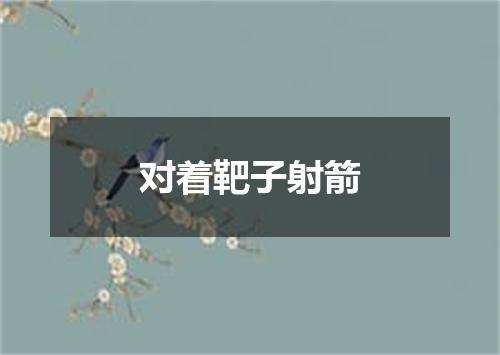 对着靶子射箭