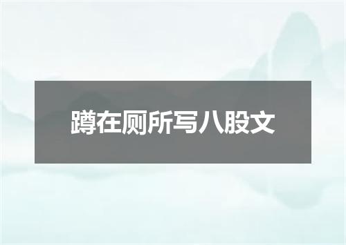 蹲在厕所写八股文