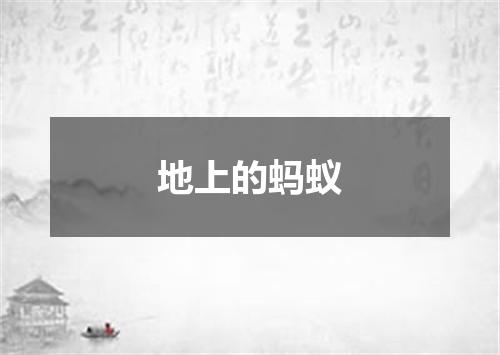 地上的蚂蚁