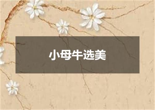 小母牛选美