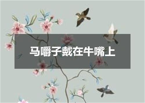 马嚼子戴在牛嘴上