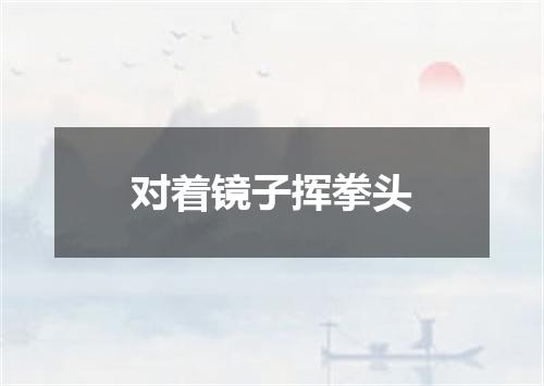 对着镜子挥拳头
