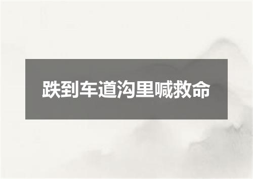 跌到车道沟里喊救命