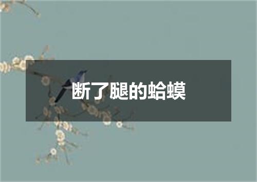 断了腿的蛤蟆