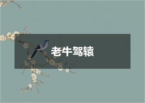 老牛驾辕