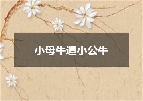 小母牛追小公牛