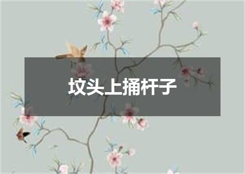 坟头上捅杆子