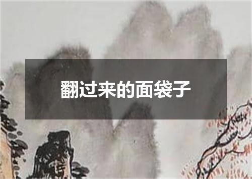 翻过来的面袋子